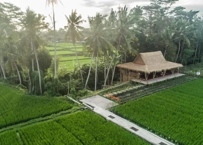 5br Pvt Pool Wooden House Near By Ilys C Ubud